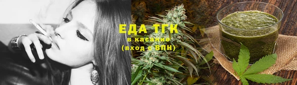 шишки Магас