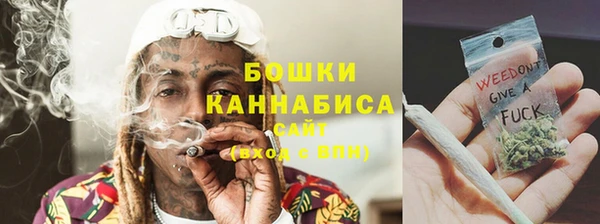 шишки Магас