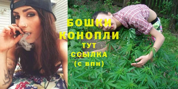 шишки Магас
