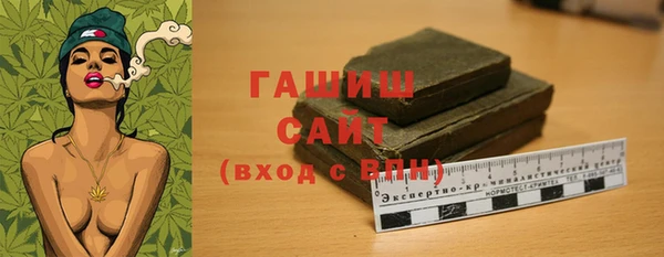 шишки Магас
