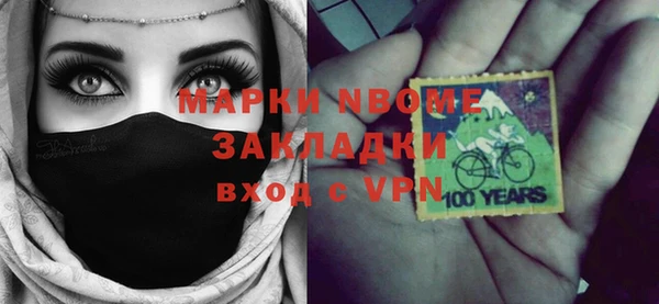 шишки Магас