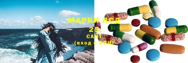 шишки Магас