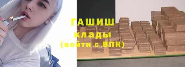 шишки Магас