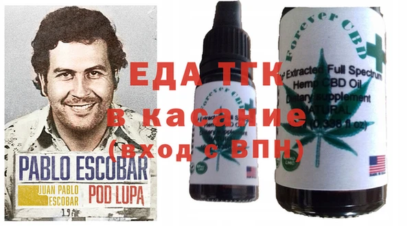 шишки Магас