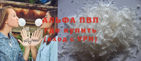 шишки Магас