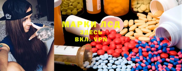 шишки Магас