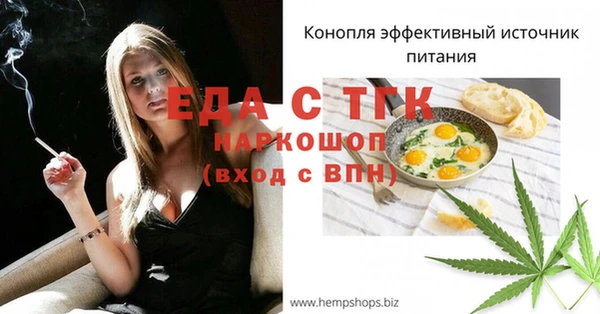 шишки Магас