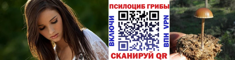 Галлюциногенные грибы GOLDEN TEACHER  наркотики  Олёкминск 